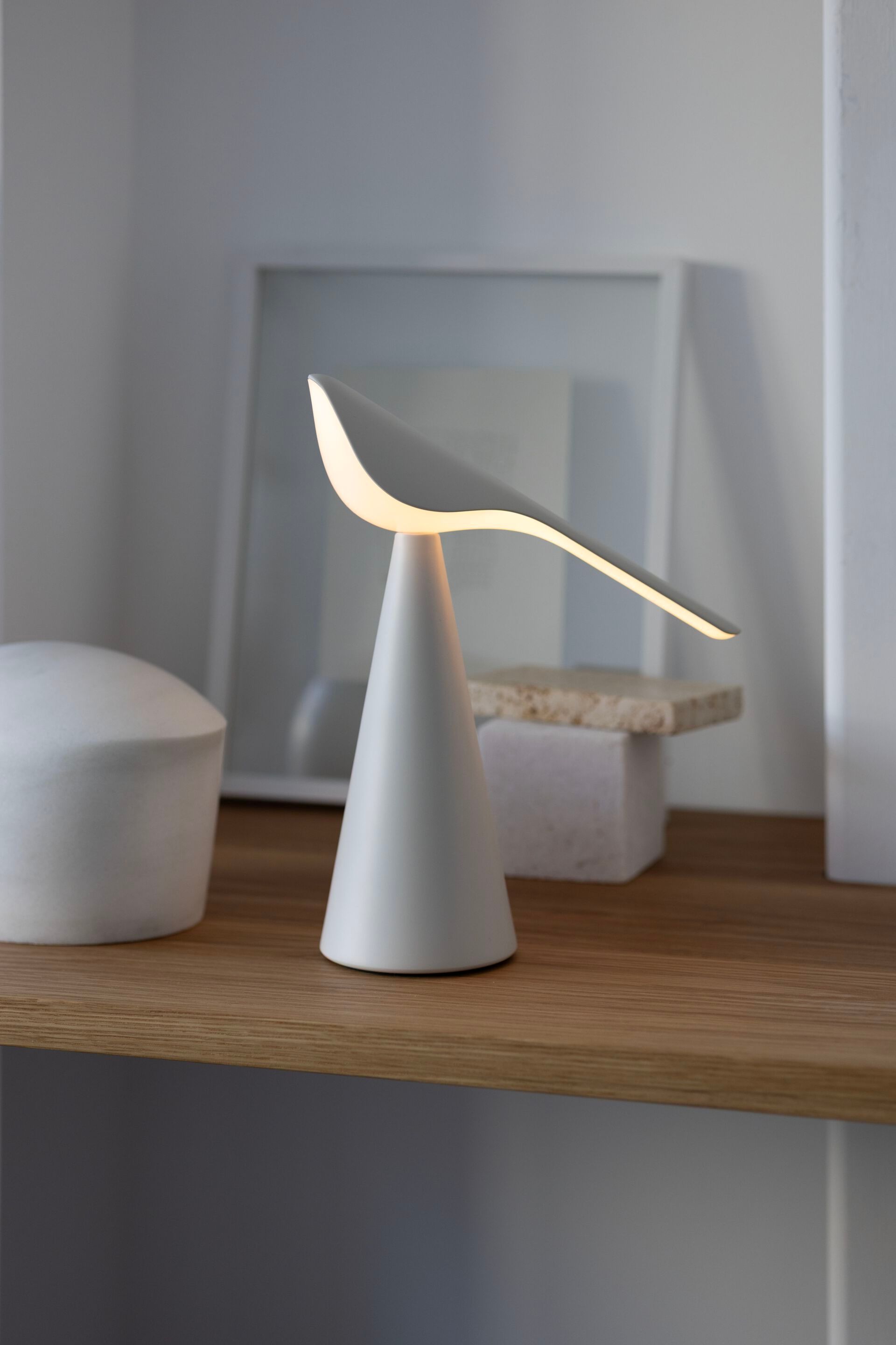 Алюминиевая светодиодная настольная лампа Established&Sons TIKI ARCH-00145932 - Вид №42