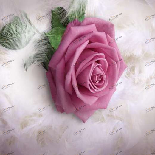 WP01377 Фотообои Verol Фотообои decoline 1х1 м