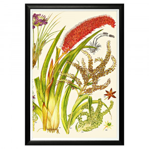 896519655_1818 Арт-постер «Цветочная энциклопедия, глава 8» Object Desire