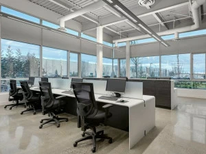 Avonite Surfaces Рабочая станция с несколькими твердыми поверхностями Avonite