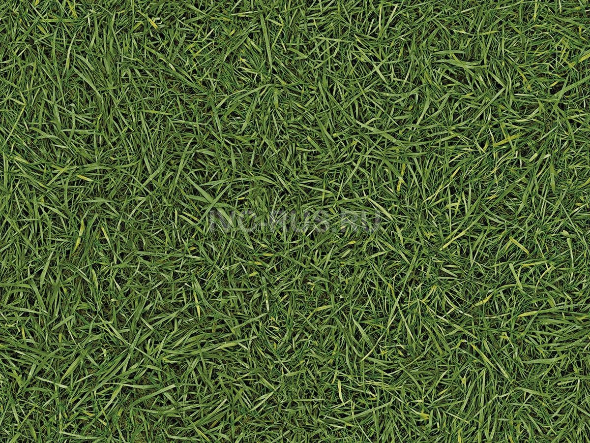 Линолеум бытовой SMART NEO - СМАРТ НЕО i457840 IVC-RUS 