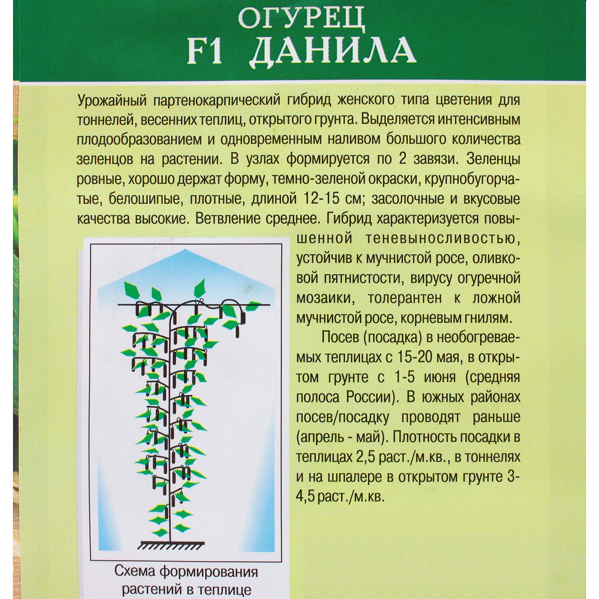 81932515 Семена Огурец «Данила» F1 Santreyd  - Вид №2