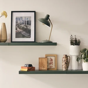 Полка настенная Spaceo Cactus 1 60x23.5 см МДФ цвет кактус 82877526 STLM-2035011