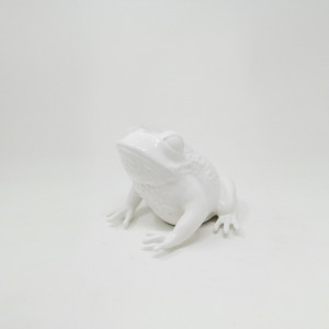 Q495/3X38 Королева лягушка Adriani e Rossi Мэтт Уайт