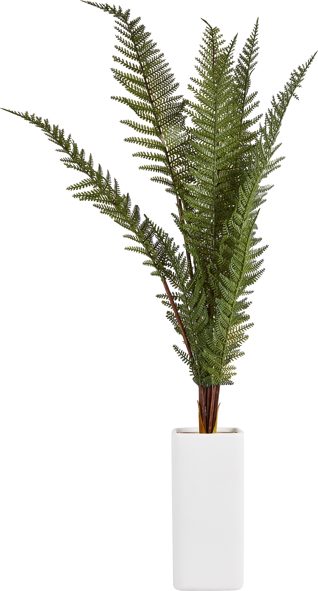87681879 Искусственное растение Папоротник 91x11 см пластик STLM-0074889 Santreyd  - Вид №1