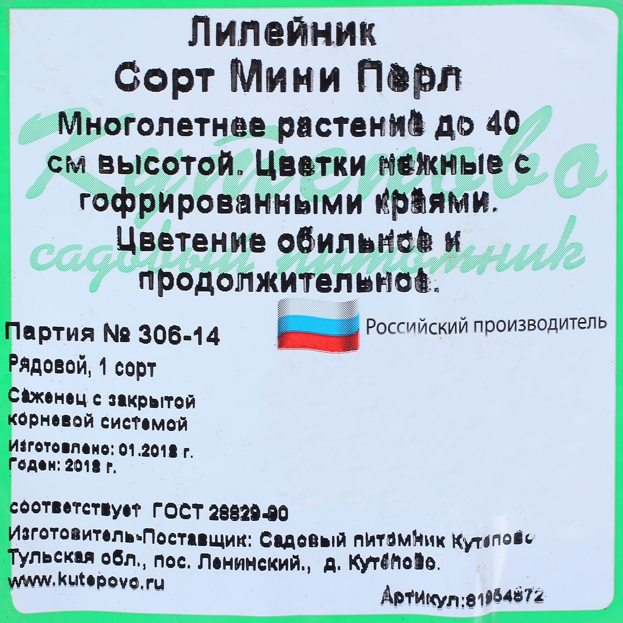 81954872 Лилейник С1 «Мини Перл» Santreyd  - Вид №1