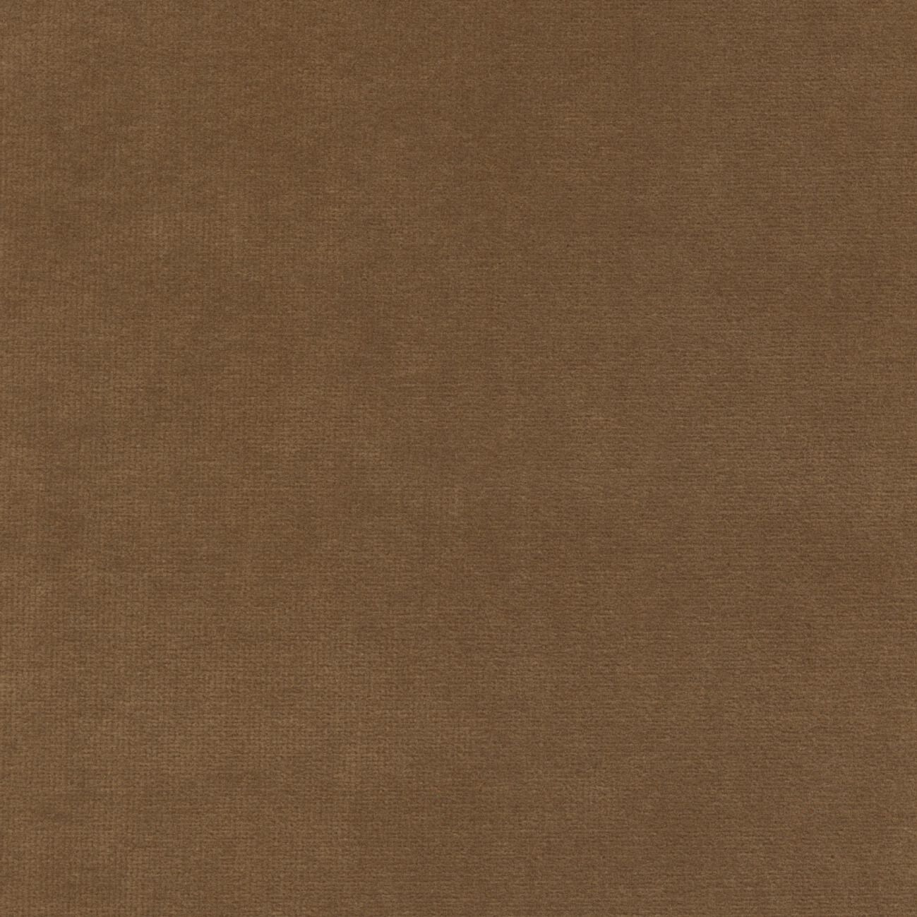 Бархатная однотонная ткань Élitis Palatine ARCH-00143253 - Вид №42