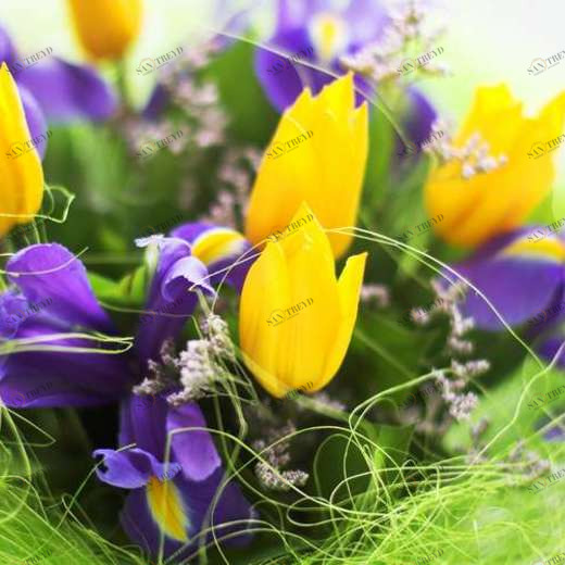 WP01252 Фотообои Verol Фотообои decoline 1х1 м