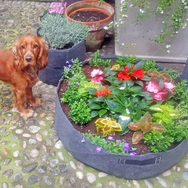 Onek Низкий садовый горшок из ткани Bloembagz sun-id-1448046 - Вид №3