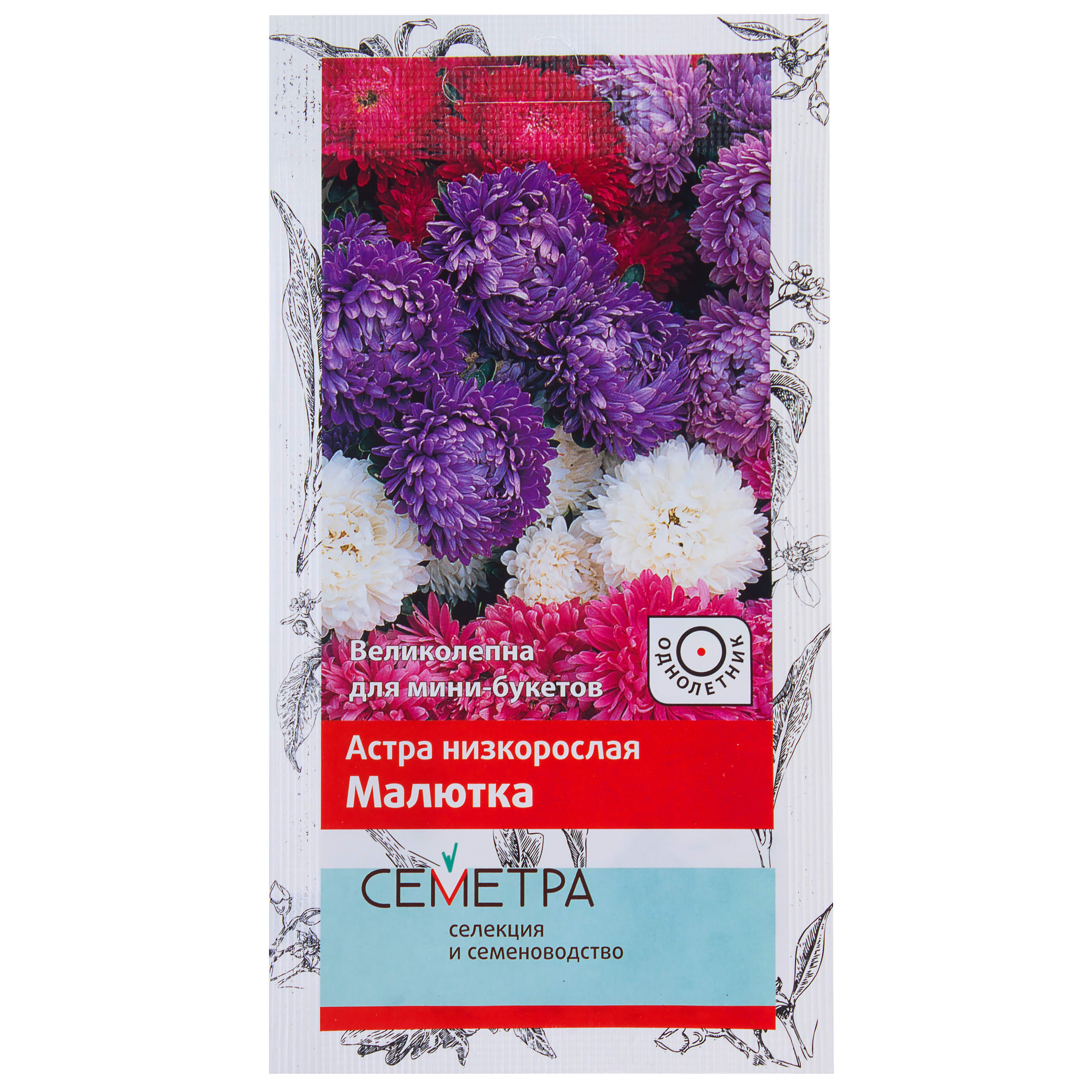 18359089 Астра низкорослая «Малютка» Santreyd 