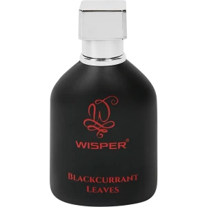 Ароматизатор Wisper Blackcurrant Leaves 30 мл