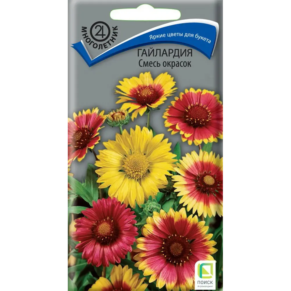 Семена цветов Поиск гайлардия смесь окрасок STLM-2119863