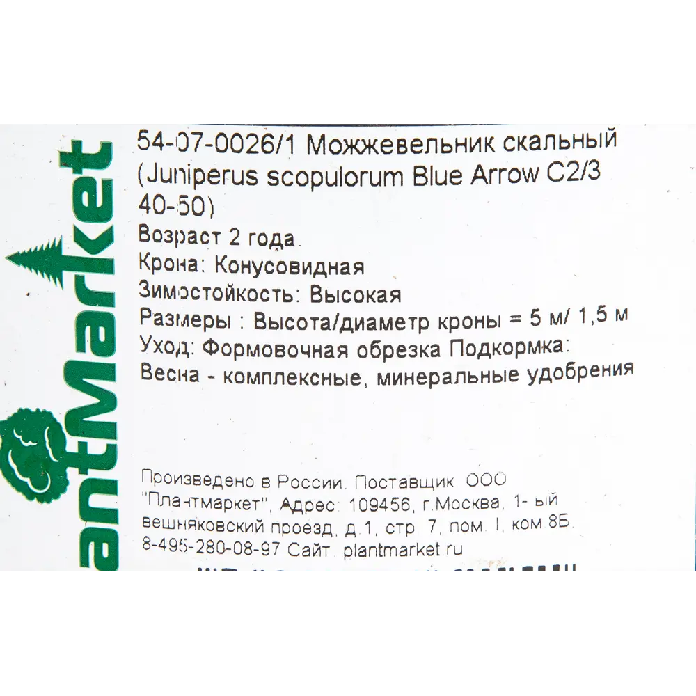 Можжевельник скальный «Блю Эрроу» С2, 40-50 см PLANTMARKET STLM-2174443 - Вид №1