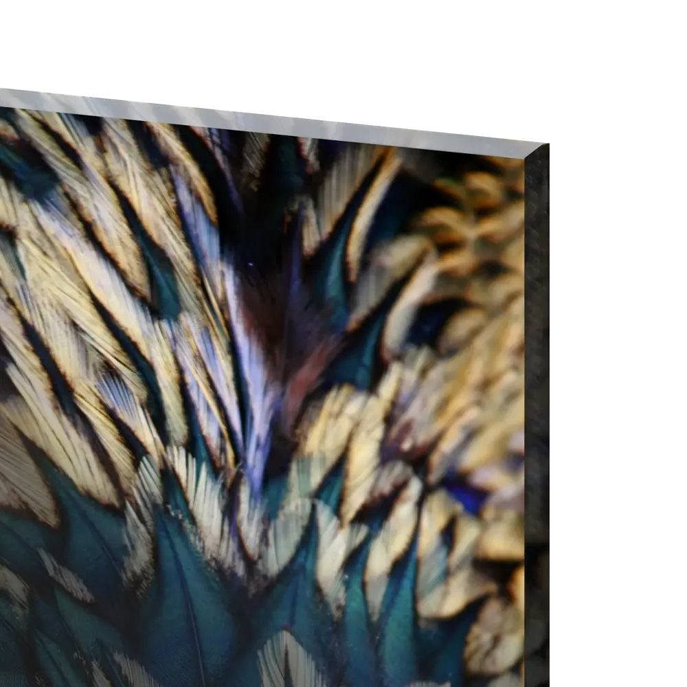 Картина на стекле «Перо» 40x60 см цвет белый/голубой 82977327 STLM-2035991 ARTABOSKO  - Вид №1