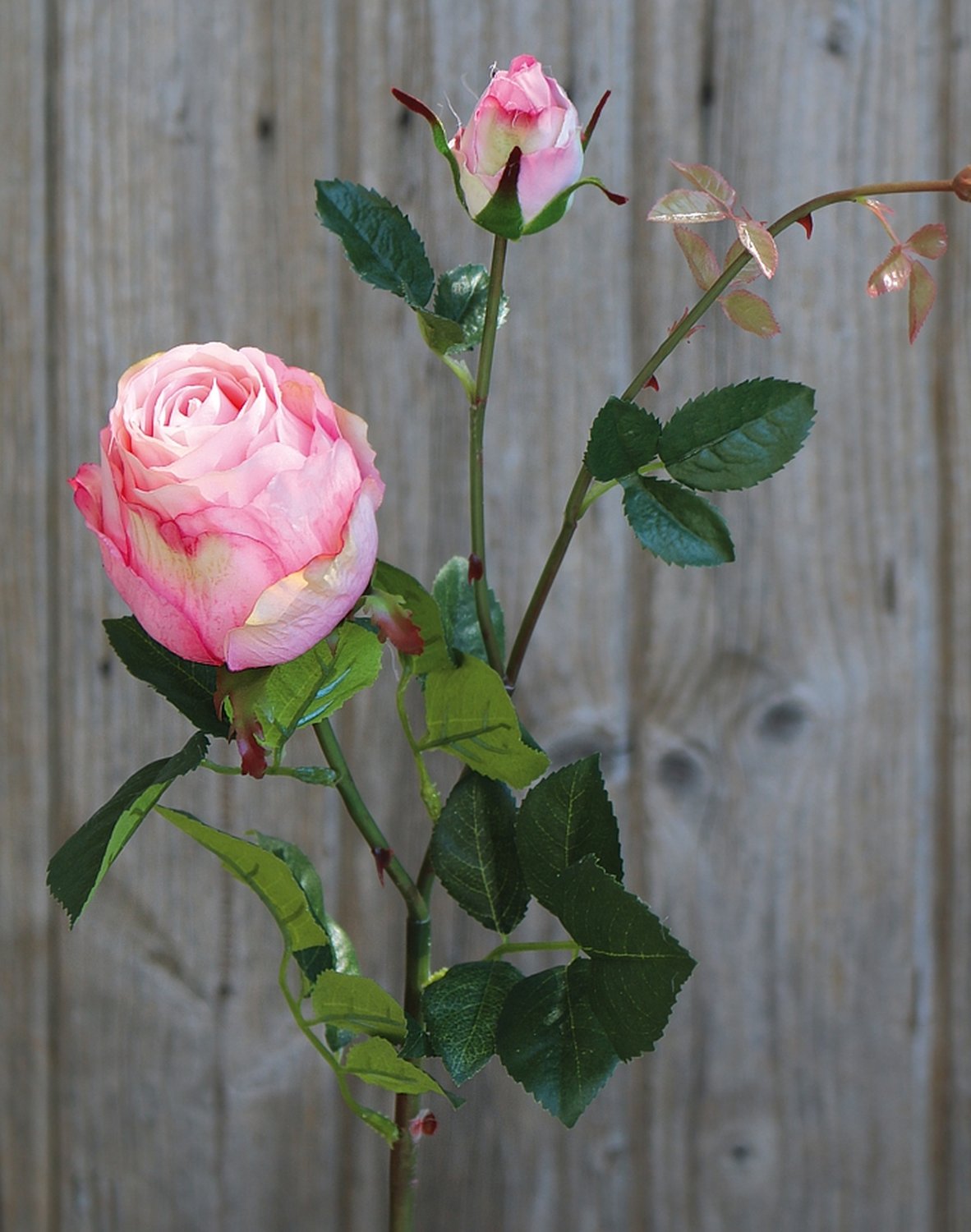 2628 510 a3 Искусственная роза, 1 цветок, 1 бутон, 80 см, розовая H-andreas  - Вид №5