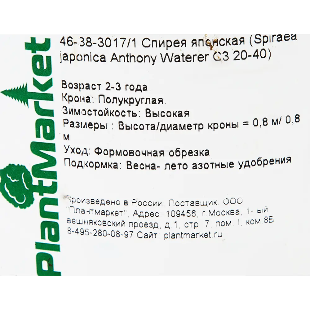 Спирея японская «Энтони Уотерер» C3 20-40 см 82356733 STLM-2133499 PLANTMARKET  - Вид №1