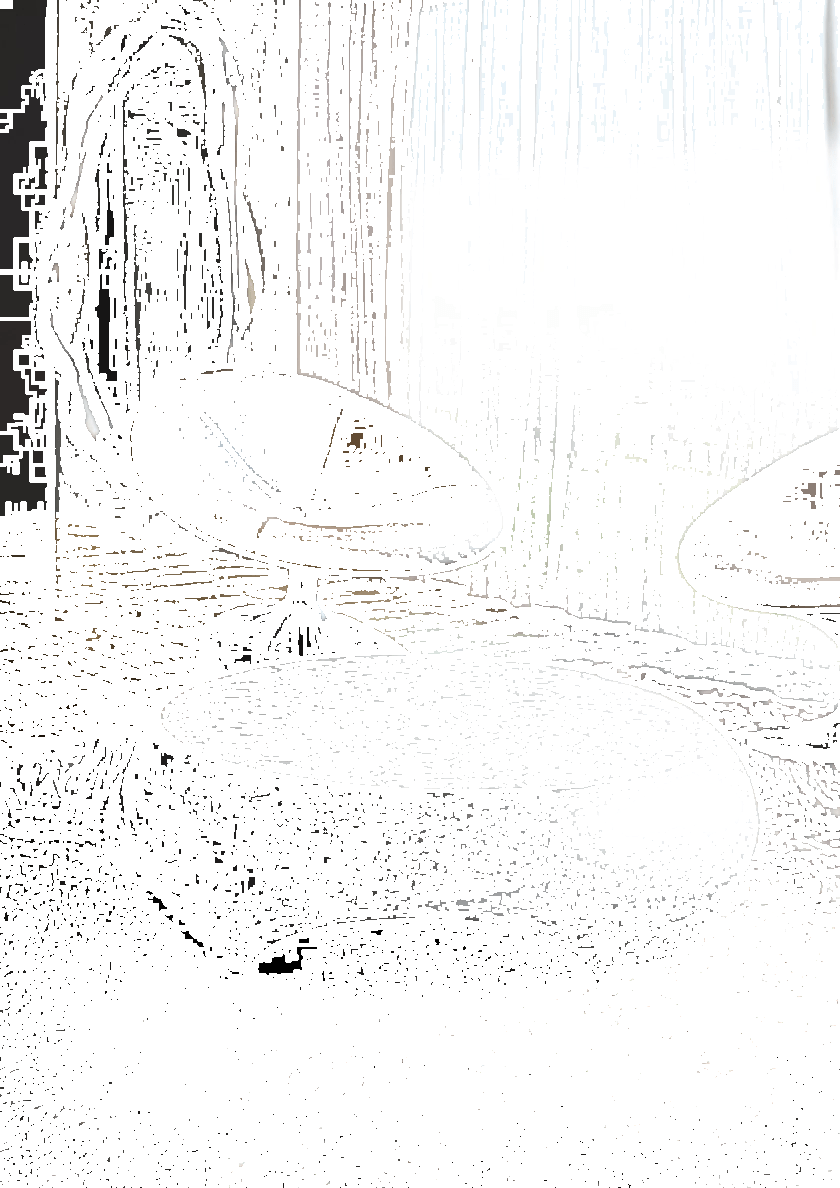 KARPA Низкий журнальный столик из каррарского мрамора  K1381  - Вид №1