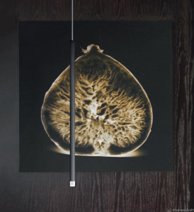 Studio Italia Design A-Tube nano medium black 158022 подвес