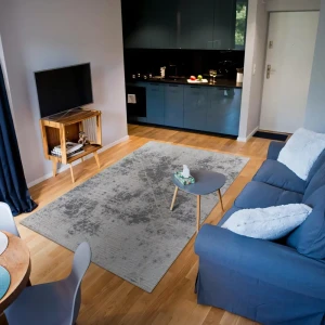 Ковер Merinos Point 60×110 см серый современный 89423589