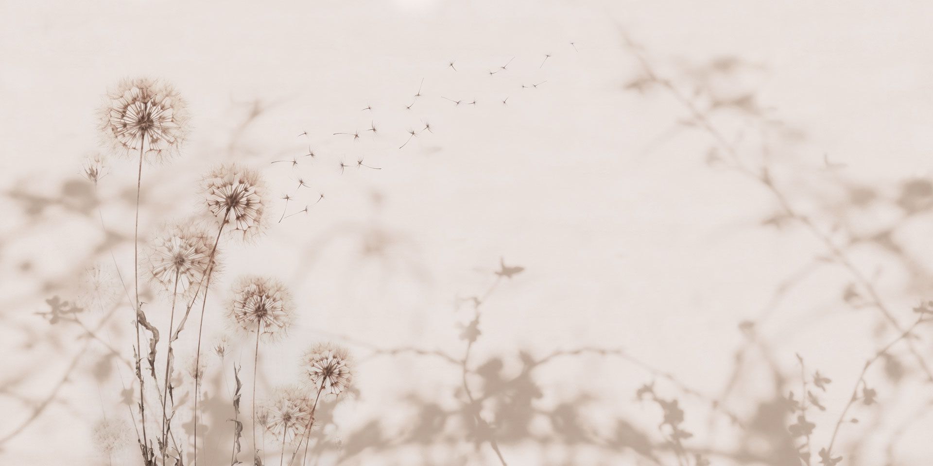 Обои с цветочным узором Rimura 2024 ARCH-00127163 - Вид №2