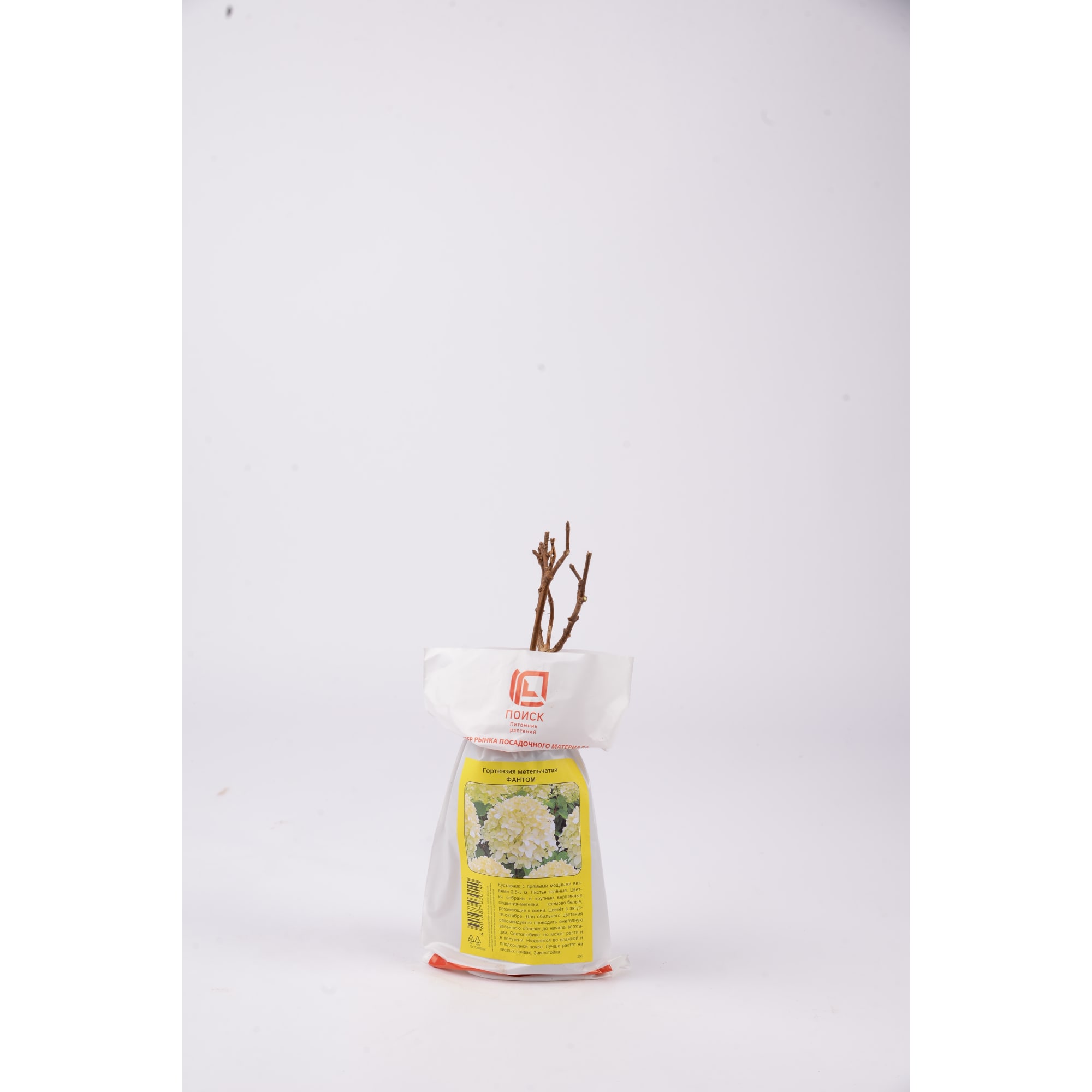 83786892 Гортензия метельчатая Фантом h40 см Santreyd  - Вид №2