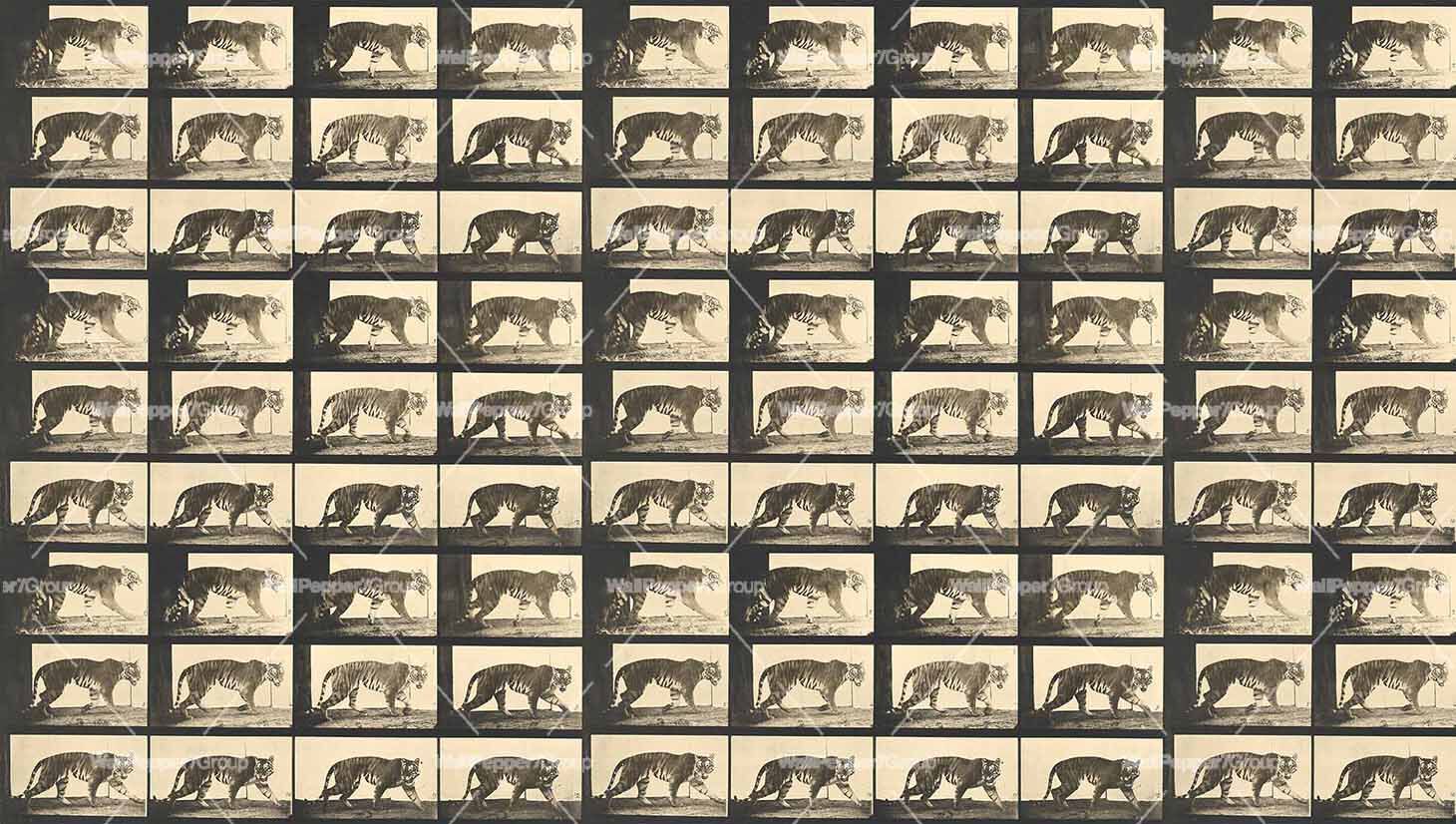 Восточные тематические обои, экологически чистые WallPepper коллекция 2022 ARCH-00120876 - Вид №1