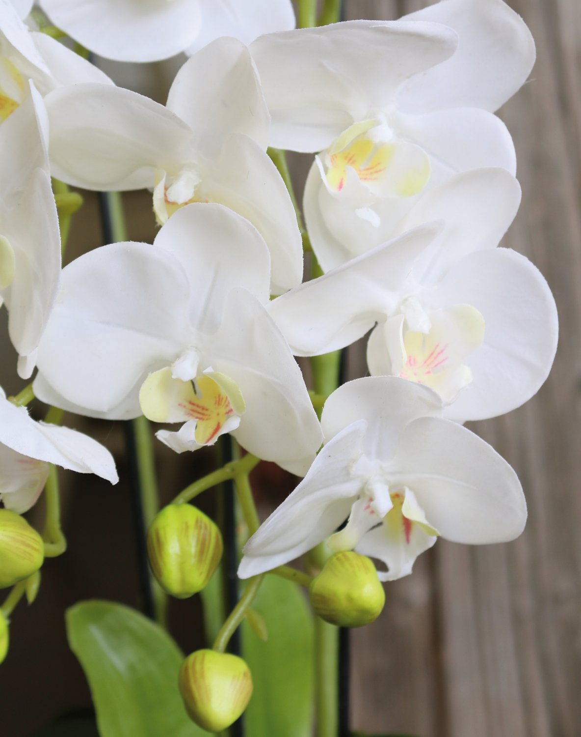 2862 777 a3 Пластиковая орхидея Phalaenopsis с 'почвой', 3-х кратная, 45 см, real touch, белая H-andreas  - Вид №2