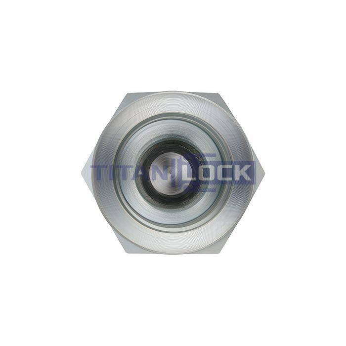 Гидравлический обратный клапан, 1.1/4", BP/BP, сталь, TLHPCV1.1/4FF TITAN LOCK  - Вид №3