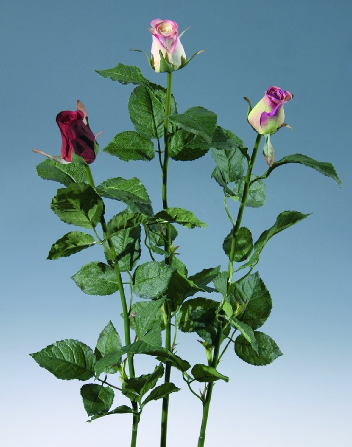 3248 755 a2 Искусственные бутоны роз, 75 см, бежево-розовые H-andreas  - Вид №1