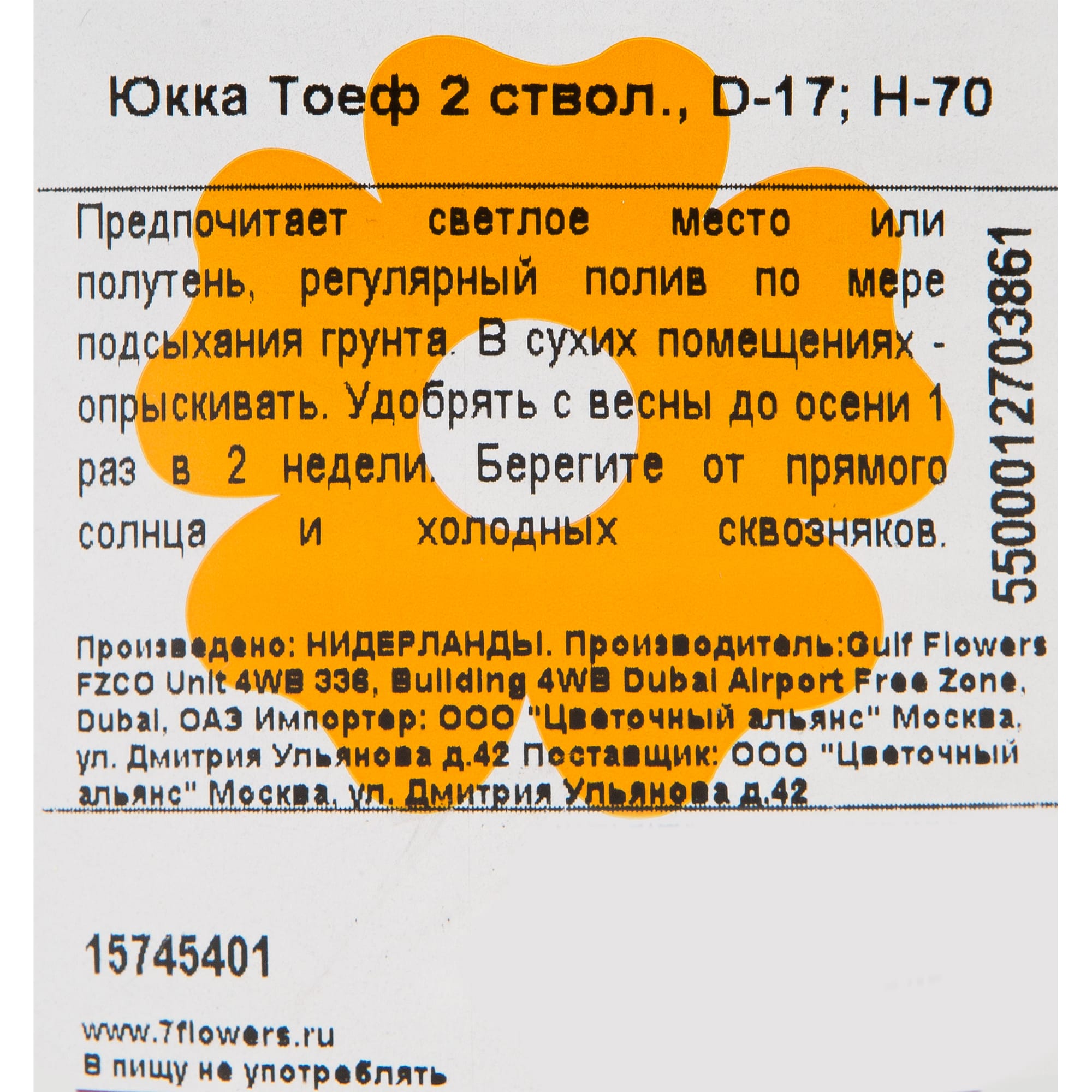 15745401 Юкка элефантис 17х75 см, 2 ствола Santreyd  - Вид №2