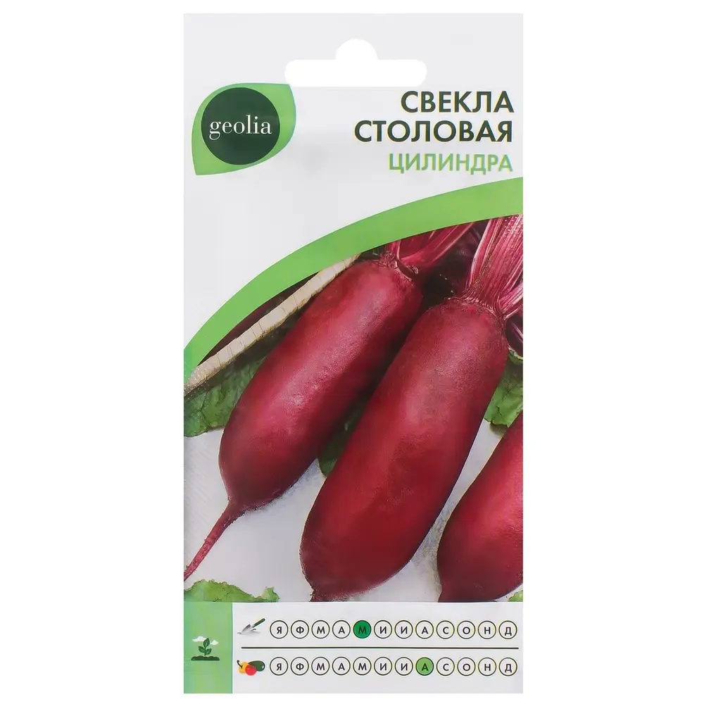 Семена свеклы GEOLIA «Цилиндра» — сладкие корнеплоды для кулинарии 17584989 STLM-0958997