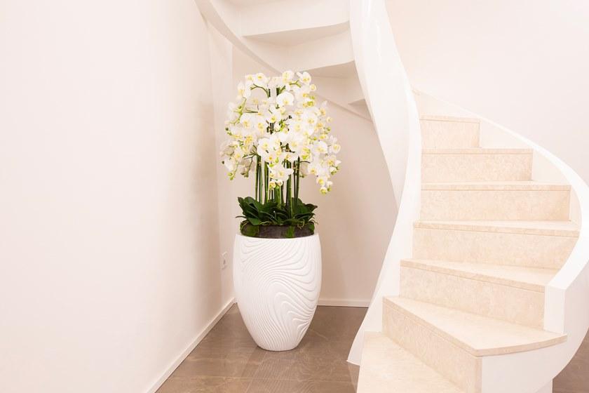 Carlo Civera Искусственные цветы sun-id-1507930 - Вид №3