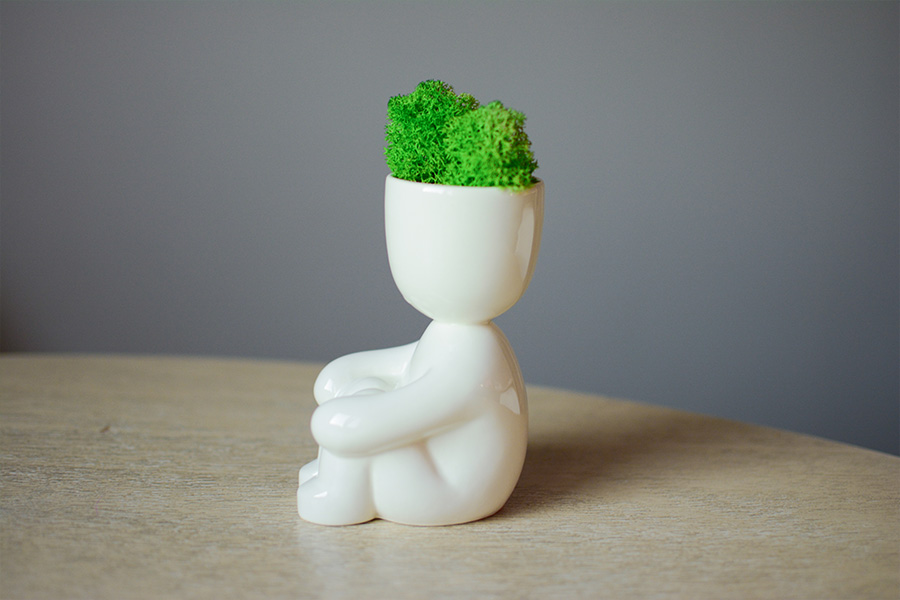 Набор для выращивания Eco «Тихоня» ЭКОЧЕЛОВЕКИ ЕСO119 - Вид №1