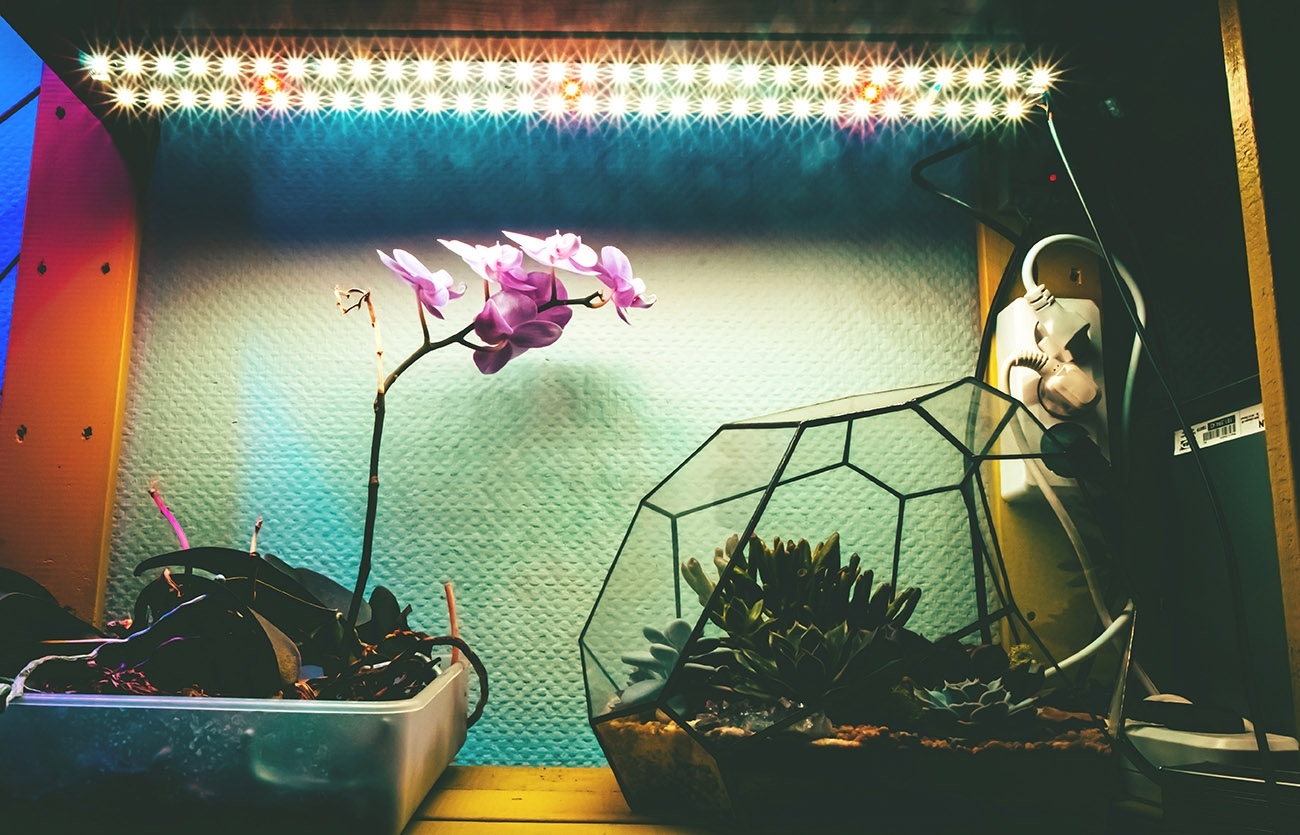 3301 Sunlike 4000 2.1.b Quantum line 300 мм 4000K+660nm LAB.Space  - Вид №3