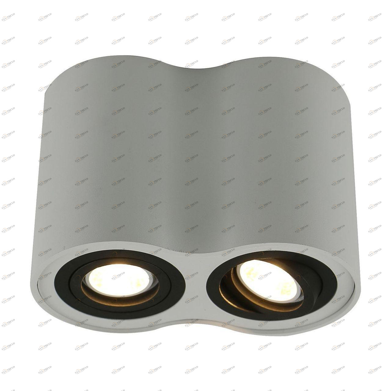 Потолочный светильник Arte Lamp A5644PL-2WH ARTE LAMP 5644 201308 Белый 