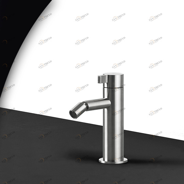 Смеситель для биде TOOX TXQ4S серебристый матовый Radomonte