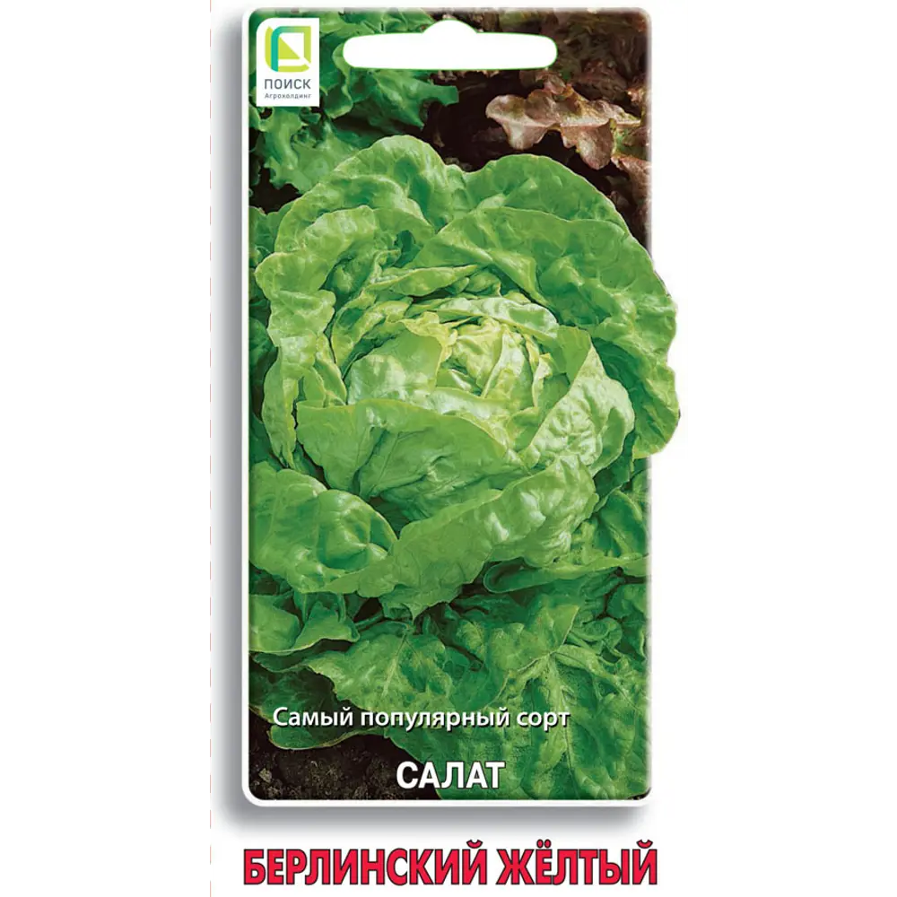 Семена салата Берлинский желтый ПОИСК 89401177 STLM-1582554