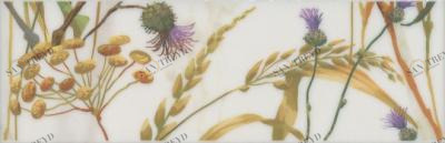 Астория Птицы белый обрезной 8х25 Kerama Marazzi sun-id-321804