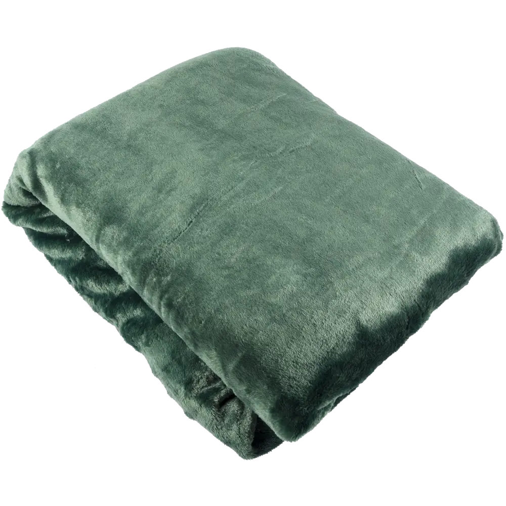 Плед фланелевый 180х200 см цвет зелёный BELEZZA STLM-2091810