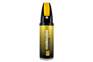 18794064 Очиститель обивки с щеткой Instant cleaning 520 мл MLS025 Molecules