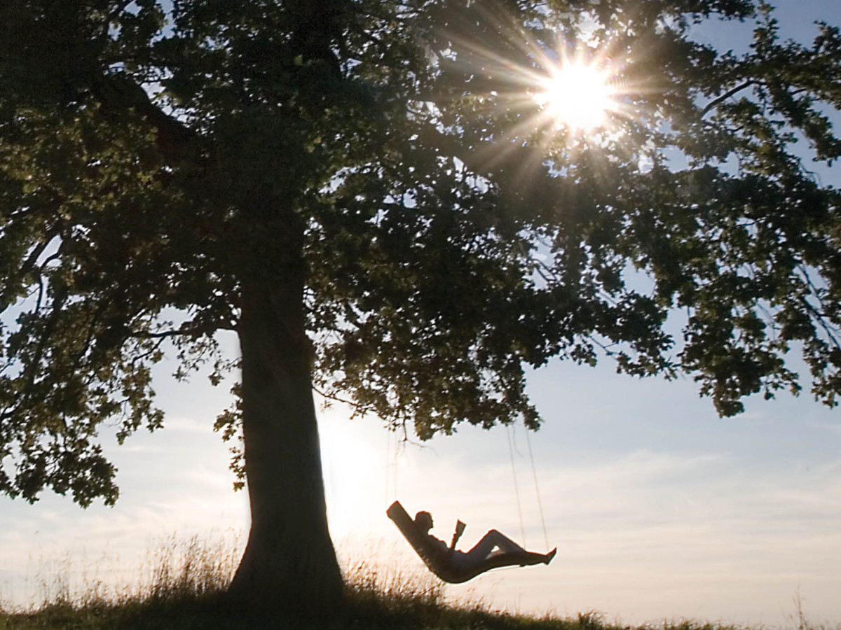 64.00.0440 Крестовина-крепление для двуспальной кровати Heaven Swing Mbm  - Вид №1