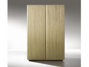 Металлический шкаф с распашными дверцами