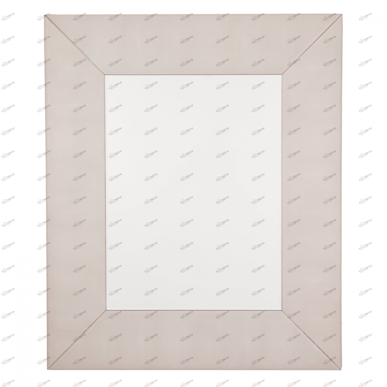 Зеркало прямоугольное настенное бежевое Iced Ivory Shargreen PUSHA ДИЗАЙНЕРСКИЕ 062532 Бежевый 