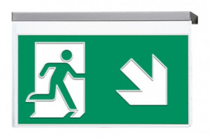 DST-2241 Vir-p Daisalux Светильники сигнальные Серебристо-Серый