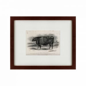 Картина: A short horned steer, 1849 КАРТИНЫ В КВАРТИРУ  135688 Разноцветный