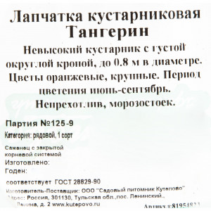81954823 Лапчатка кустарниковая С2 «Танжерин» h30
