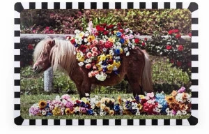 Seletti Салфетки из полипропилена прямоугольные Seletti wears toiletpaper