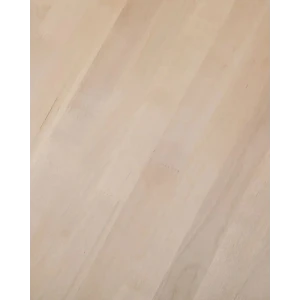 91420256 Столешница кухонная Wild-wood 160x60x1.8 см береза цвет бежевый STLM-1461927