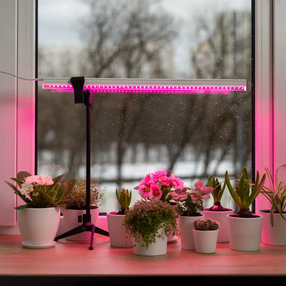 Фитолампы Ritter Planta для растений с выключателем - эффективная досветка рассады и цветов 85336791 STLM-0061766 - Вид №22