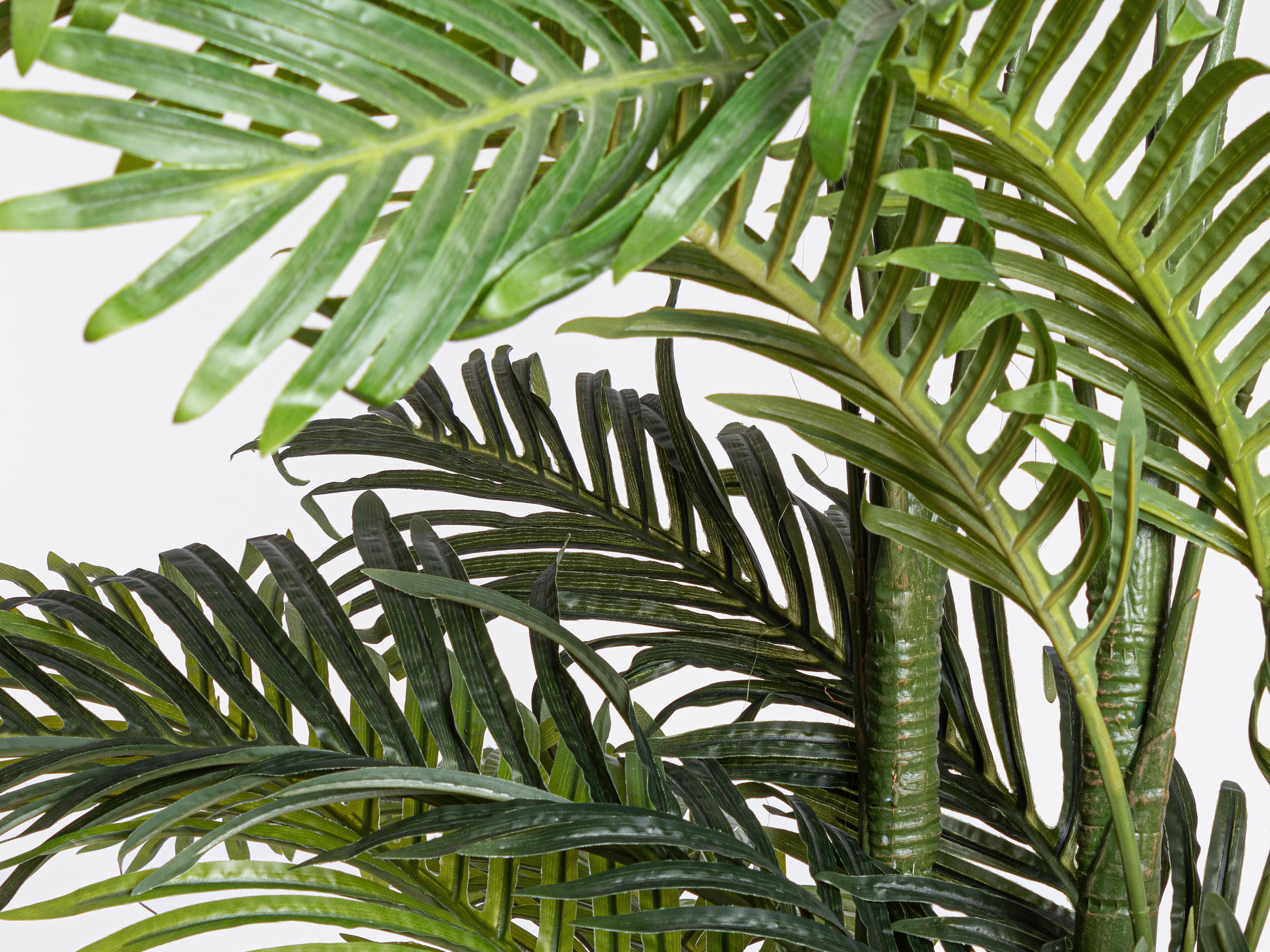 Искусственное растение BIZZOTTO KENZIA H210 ARCH-00033349 - Вид №2